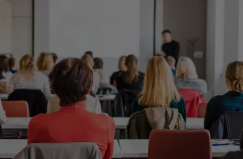 Auditor interno de sistema de gestión integrado (e-learning)