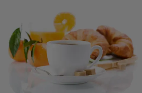 Auditor interno FSSC 22000 V6