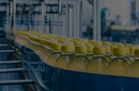 ISO 22000 - Curso de Introducción (e-learning)