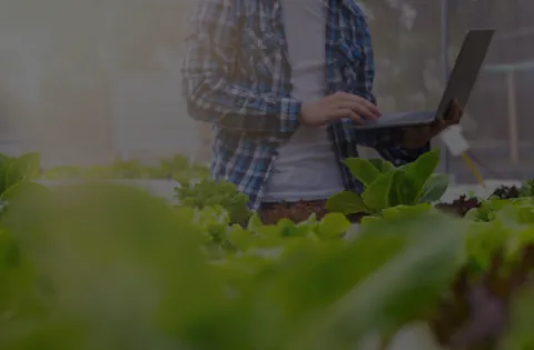 BRCGS v7 Materiales de empaque - Interpretación de la norma