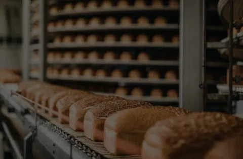 Auditor lider FSSC 22000 Version 6 con base en ISO 22000:2018