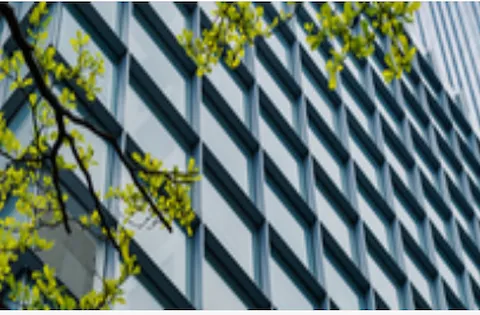 Auditor Líder de ISO 14001:2015