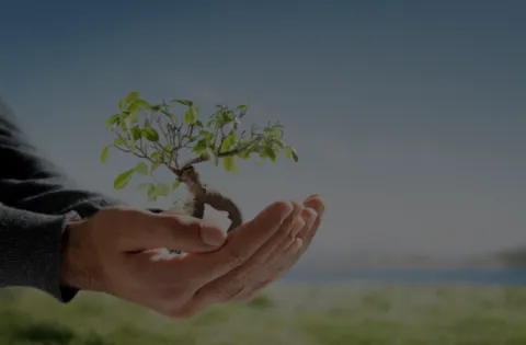 Auditor Interno de ISO 14001:2015 (e-learning)