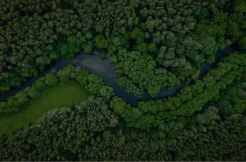 ISO 14001:2026 Interpretación de la norma (ISO/DIS 14001)