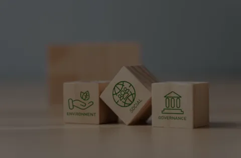 ISO 14001:2015 Interpretación de la norma (e-learning)