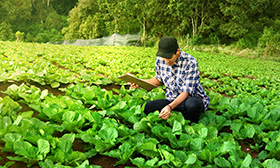 OnDemand Webinars: Medioambiente