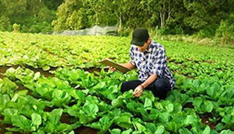 OnDemand Webinars: Medioambiente