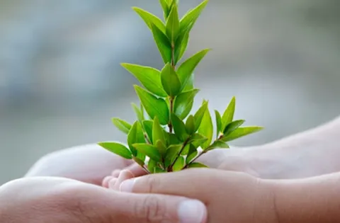 Interpretación de ISO 14001:2015- e-learning