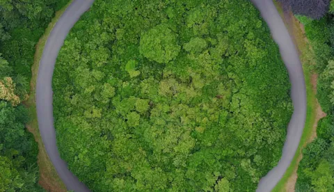 Supply Chain & Product Assurance