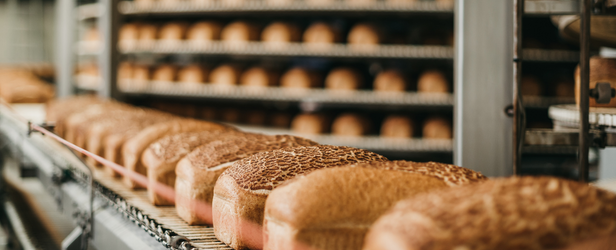 Entrenamientos para Seguridad Alimentaria