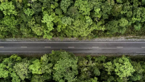 Fundamentos para la transición a la norma ISO 14001:2026 basados en el proyecto de norma internacional (ISO/DIS 14001)