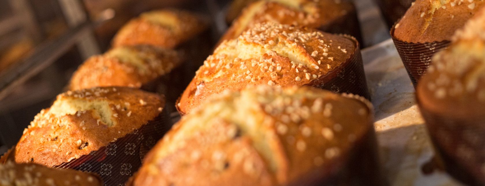 ISO 22000 - Inducción al sistema de gestión de seguridad alimentaria – eLearning