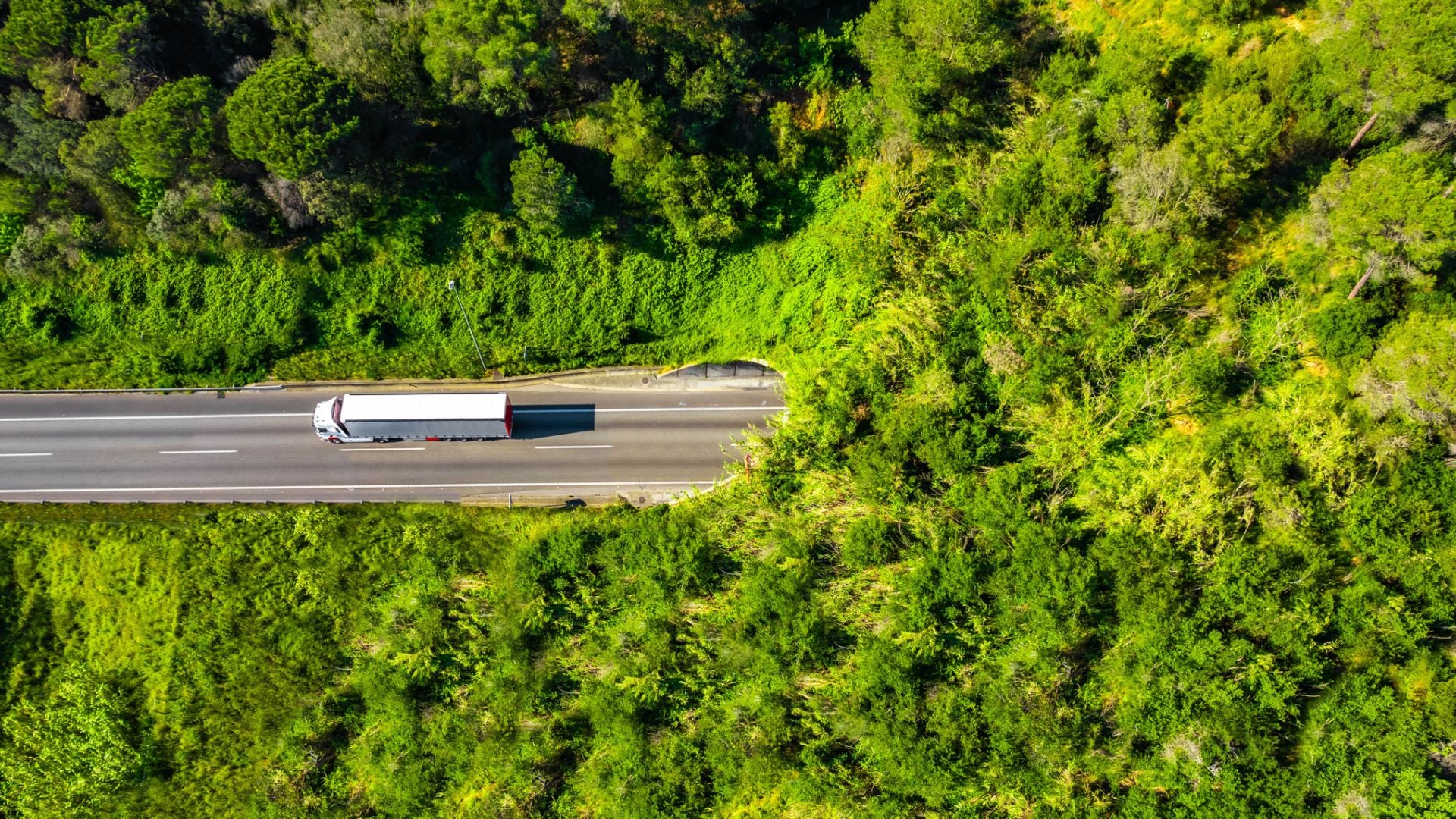 Corredor verde con vegetación y un camión de carga 