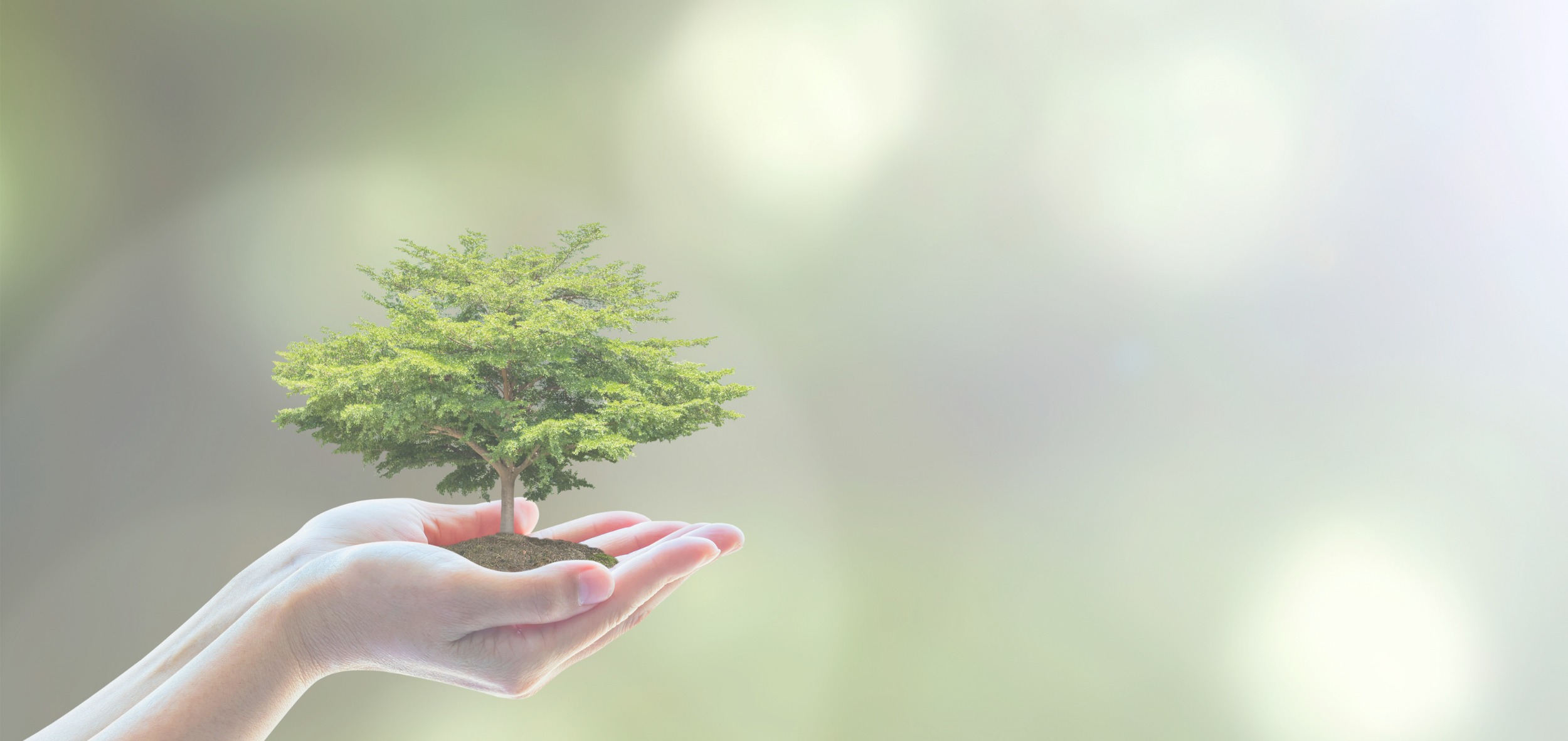 Auditor Interno ISO 14001:2015 - eLearning