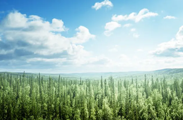 Espresso survey: Environmental audit findings snapshot - infographic