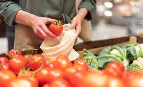 Auditor Interno de la norma FSSC 22000 vers. 6