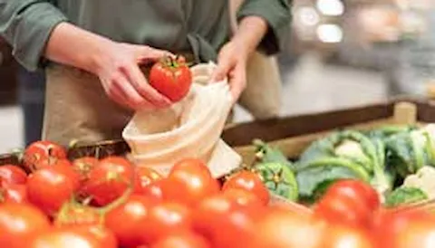 Auditor Interno de la norma FSSC 22000 vers. 6