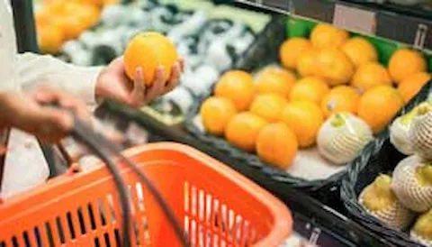 Interpretación de la norma FSSC 22000 Vers. 6