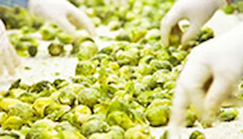 Fraude alimentario y defensa alimentaria