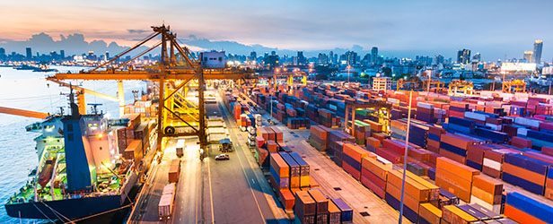 Programa de verificación de proveedores extranjeros (FSVP)