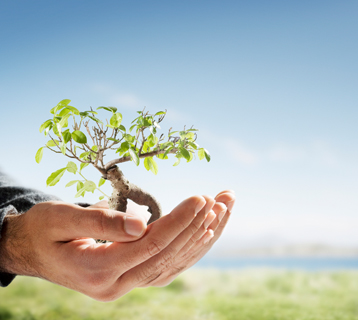 Auditor Líder ISO 14001 (IRCA CQI) - Modalidad Blended