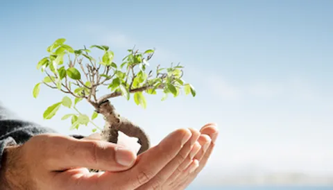 Auditor Líder ISO 14001 (IRCA CQI) - Modalidad Blended