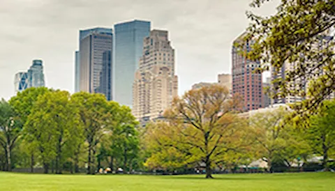 Auditor Interno de ISO 14001:2015 - (Online e-Learning)