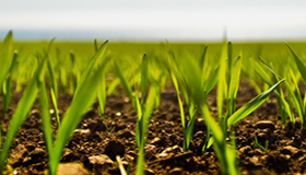 Auditor Interno ISO 14001:2014 (incluye la interpretacion de la norma)