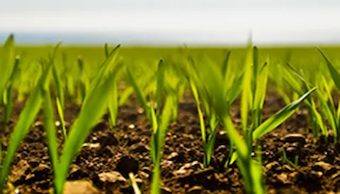 Auditor Interno ISO 14001:2014 (incluye la interpretacion de la norma)