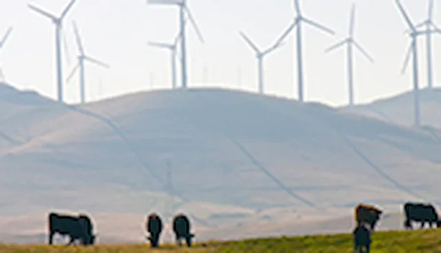 陆上风能和太阳能发电选址与环境影响研究