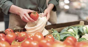 Piensos y agricultura