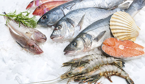 Pesca Sostenible y acuicultura