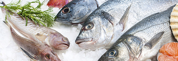 Acuicultura y Pesca Sostenible