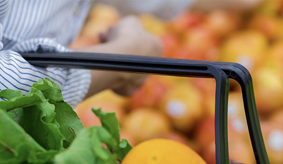 Seguridad Alimentaria