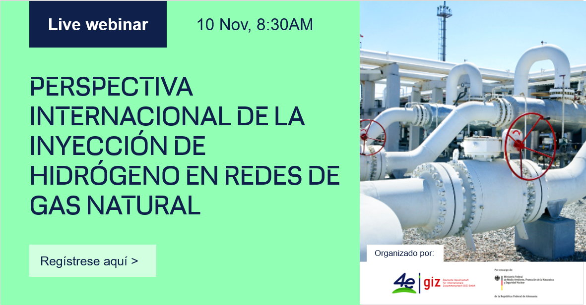 Webinar: Perspectiva Internacional de la Inyección de Hidrógeno en Redes de Gas Natural